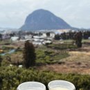 우도빌딩 이미지