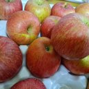 성재농장 이미지