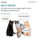 유정다방 | [2025年 5月] 꽈당씨