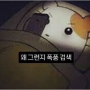 이블링 | 풋크림 추천 내돈내산 발각질 제거 후기