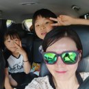 순창야채 | 순창 썬웨이어드벤처글램핑 내돈내산 후기