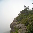 산동농산 이미지