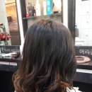 헤어머리꾼 이미지