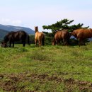 좋은축산마을 이미지
