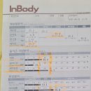 서부(좌) | [저탄수 다이어트] 8kg 감량 후기 (부제 : 소식좌 탄생)