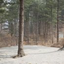 솔밭매점 - 충주시 첨단산업로 1438 | 솔밭매점