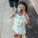 진양호캐리비안워터파크 이미지