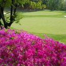 올림픽 골프장 이미지