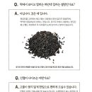 길조떡