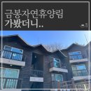 가족들과 함께 가기 좋은 의성 금봉자연휴양림 휴양관 자작나무