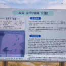 길조 약국 이미지