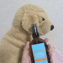 비가헤어컬링 | 헤어에센스 추천｜푸석한 헤어 관리템 블리세아 아르간 오일 솔직 후기