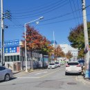 다사 다이소 앞 이미지