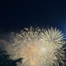 안산카스피드웨이 | 화성 뱃놀이 축제 일정 공연 부스 이벤트 요트 승선 후기 총정리