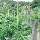 희진농장 이미지