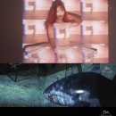 민아트비주얼 이미지