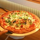 애견의 정원 | 나주 브런치카페 애견동반 카페정원 브런치뷔페 방문후기