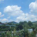 곱든고개 등산로입구 이미지