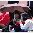 생활체육 족구장 이미지