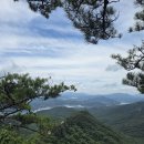 금수산