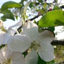 이든농장 이미지