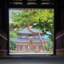 외산 무량사 부도군 | [부여 여행] 천년 사찰 무량사 산책 그리고 봉평산골메밀막국수