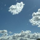 서부상회 | 국내 여행 충남 태안 천리포 수목원 맛집 추천 현지인 강추 천리포 해변식당 내돈내산 솔직 후기