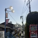 허튼소리 | [도쿄일상] 많이 걷고 많이 먹는 주말