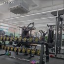 오늘의 마이핏 이미지