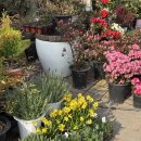 새로운방아간 이미지