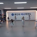 활기찬 용인대 KOREA 태권도 | 세류동 태권도 용인대매교태권도장 아이가 즐거워해요 !