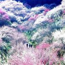 아름답길