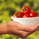 더건강한짐 이미지