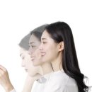 지비스텔라 이미지