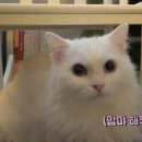 WE PC방 이미지