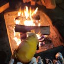 황룡스테이 이미지