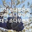 예솔조경 이미지