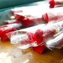 구항초등학교 이미지