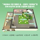 그림책도서관 | &lt;세상에서 가장 행복한 숲-핀란드 그림책展&gt; 국립어린이청소년도서관 전시 후기