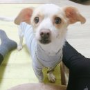 띵똥 이미지