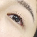 마성토탈뷰티 | [한대앞속눈썹펌] 시그니처 무드펌 솔직 후기 ✨