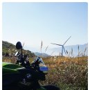 조은목장 이미지