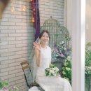 세모아