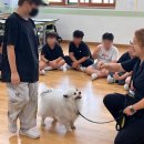 목암초등학교 이미지