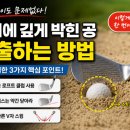 에그공