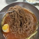 포천냉면 | [경동시장 웨이팅 맛집] 포천메밀냉면 : 내돈내산 솔직후기