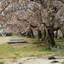 덕치초등학교 이미지