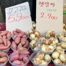 자연농원항동럭키점