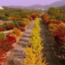 장수서창동-3 티스토리