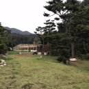 스테이246